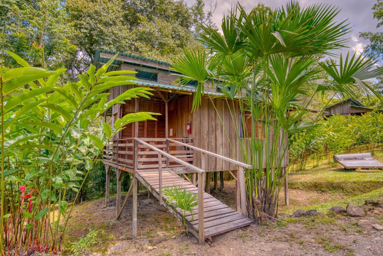 Selva Bananito Lodge Westfalia Exterior photo